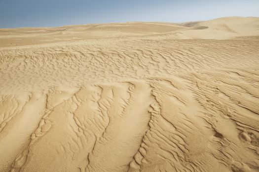 Desert landscape