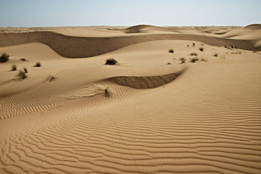 Huge dunes of the desert. Growth of deserts on Earth