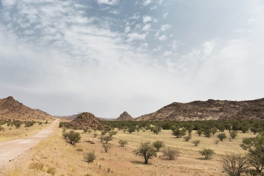Road to Namib Desert