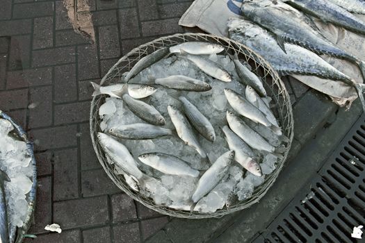 Small colorful freshly caught fish in a basket with ice 
on local Market. Fish concept