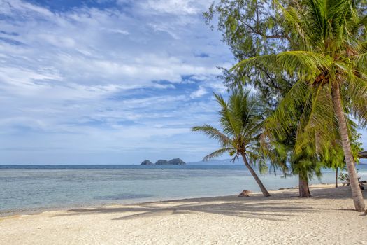 Beautiful tropical Thailand island panoramic with beach. Coconut trees stretch into the sea