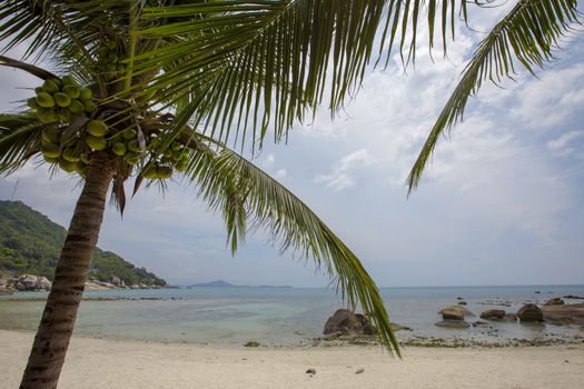 Coral Cove beach view at Koh Samui Island Thailand