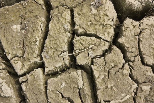 Ground texture with cracks created by drought in a field ready for cultivation