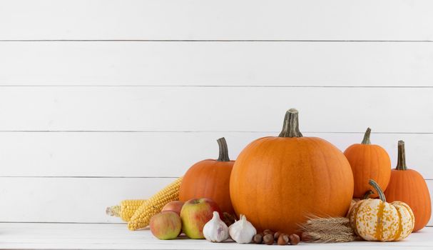 Autumn harvest still life with pumpkins, wheat ears, hazelnuts, garlic, onion on wooden background