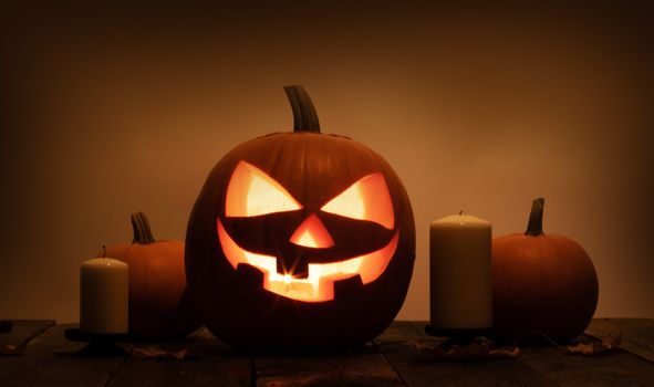 Group of Halloween pumpkin head jack o lantern and candles on dark wooden background