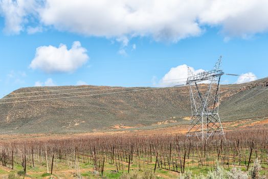 Farm landscape on road R46 near Ceres in the Western Cape Province. Espalier fruit trees and electricity infrastructure are visible