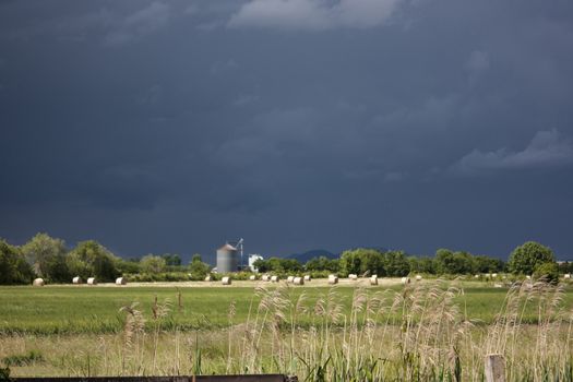 Landscape Italian countryside during the arrival of a strong storm, with very dark sky and high contrast with the surrounding nature.