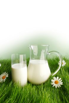 Glass of milk and jar on fresh grass meadow with chamomiles