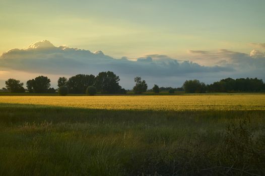 Typical countryside landscape of Venetian territory in Italy, resumed at sunset with an approaching storm, which creates contrasts between unique warm and cold colors. A wonder of nature.