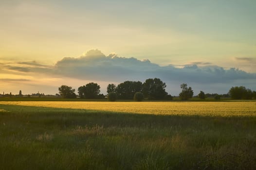 Typical countryside landscape of Venetian territory in Italy, resumed at sunset with an approaching storm, which creates contrasts between unique warm and cold colors. A wonder of nature.