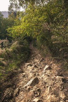 Mountain Steep descent immersed in natural green