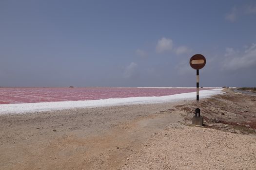 rose caribbean salt lake Bonaire island Caribbean Netherland Antilles