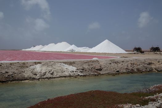 rose caribbean salt lake Bonaire island Caribbean Netherland Antilles