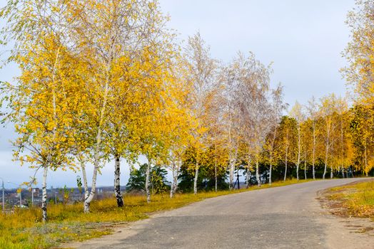 road with fences and signs in autumn day