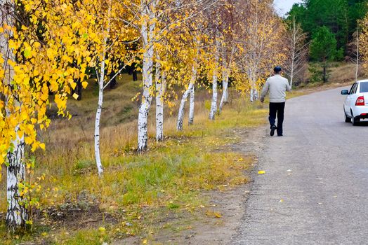 road with fences and signs in autumn day