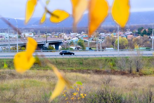 road with fences and signs in autumn day