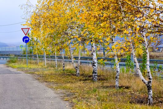 road with fences and signs in autumn day