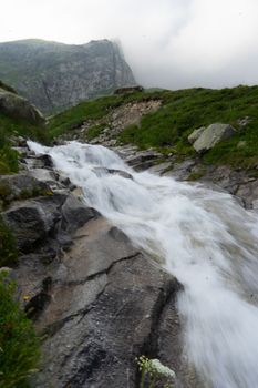 Alpine nature and water in waterfall Italy