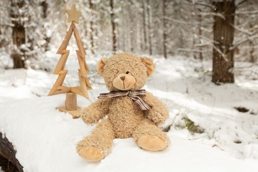 Scruffy bear and rustic Christmas tree in the snow among woodland trees in rural countryside