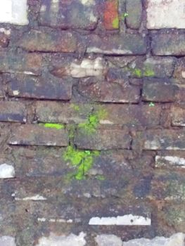 brick design of an old ruin