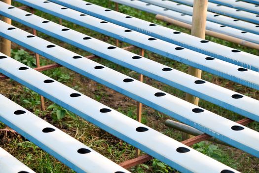 image of Hydroponics vegetable farm