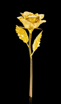 Golden rose isolated on black background, Save clipping path.