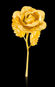 Golden rose isolated on black background, Save clipping path.