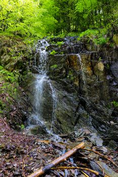 Small waterfall in a humid dark forest in Romania