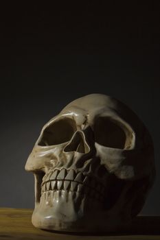 Model of a human skull on a wooden table