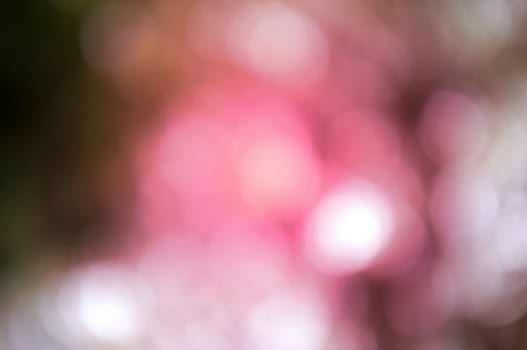 Colorful background with natural bokeh texture and defocused sparkling lights. 