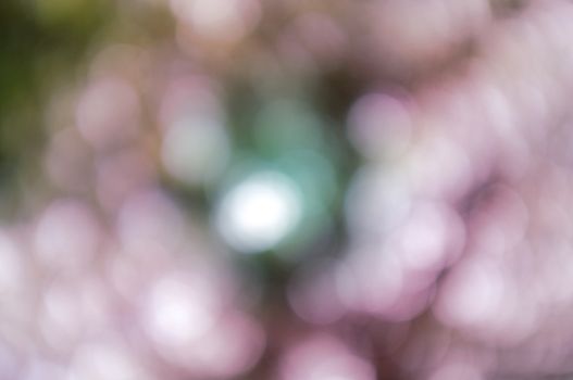 Colorful background with natural bokeh texture and defocused sparkling lights. Pastel colour backgound