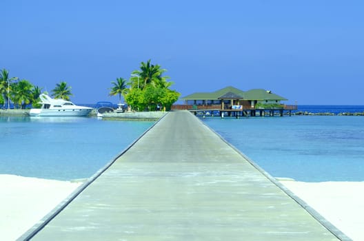 Tropical Maldives island with beach , sea , and coconut palm tree on blue sky .Holiday vacation concept.