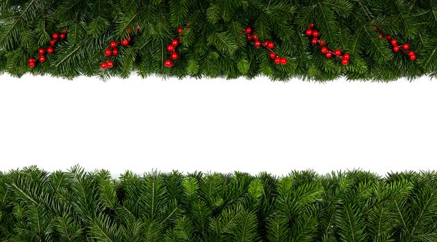 Christmas Border frame of tree branches and red berries on white background with copy space isolated