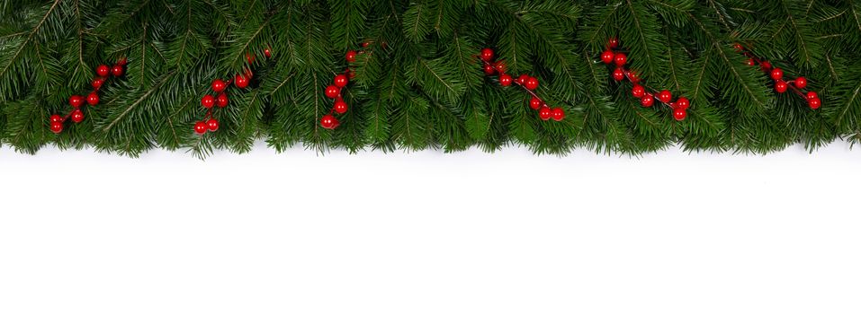 Christmas Border frame of tree branches and red berries on white background with copy space isolated