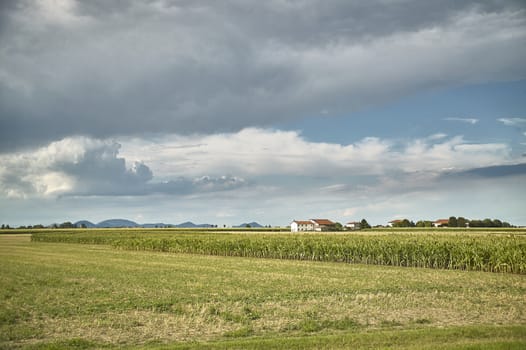 Country landscape resold at ground level, where you can see the remains of a newly threshed culture, the sky and the clouds and a typical country house in northern Italy on the bottom.