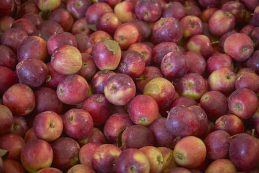 textures of many red apples.