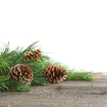 Christmas card. Pine cone and green branch on wooden table with snow, copy space for text, isolated on white background
