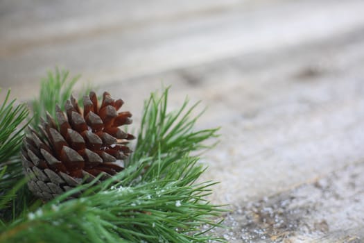 Christmas card, pine cone and branch on wooden background with snow. View with copy space