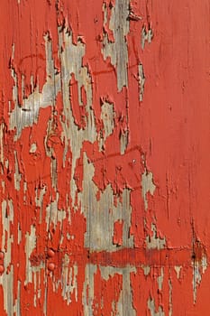 Close up background texture of red vintage weathered wooden rustic style wall with flakesof paint
