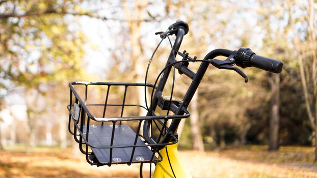 Yellow bike with fallen leaves in the setting sun. Autumn park - sunny day