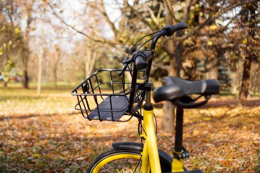 Yellow bike with fallen leaves in the setting sun. Autumn park - sunny day