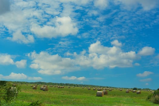 Hay bales in golden field landscape, panorama