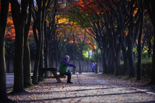 Naejangsan national park in autumn, South korea
