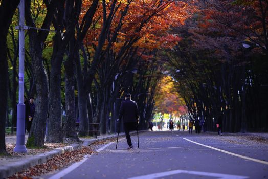Naejangsan national park in autumn, South korea