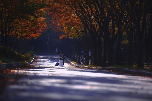 Naejangsan national park in autumn, South korea