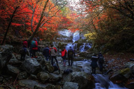 Leaves change color and waterfall at Seoraksan nation park in South Korea.