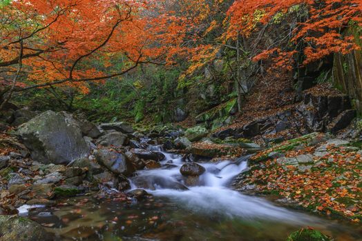 Leaves change color and waterfall at Seoraksan nation park in South Korea.