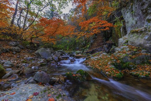 Leaves change color and waterfall at Seoraksan nation park in South Korea.