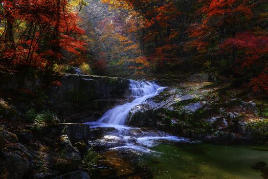 Leaves change color and waterfall at Seoraksan nation park in South Korea.