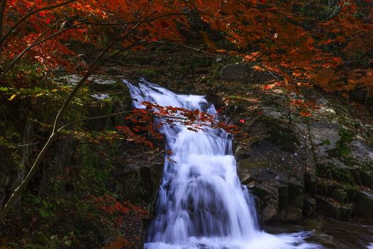 Leaves change color and waterfall at Seoraksan nation park in South Korea.